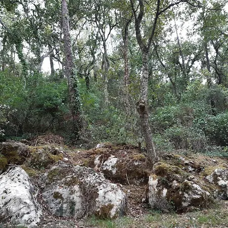 Casal Do Morgado, To Relax شاليه *