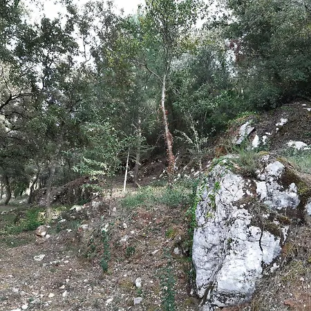 Casal Do Morgado, To Relax Formigais