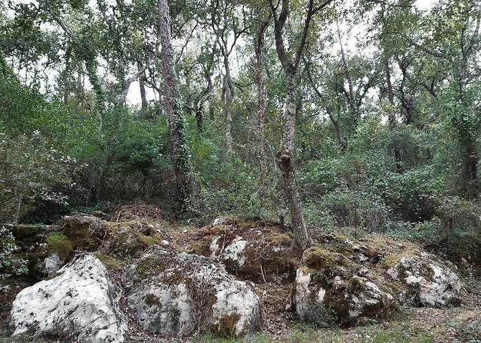 Casal Do Morgado, To Relax Chalé *